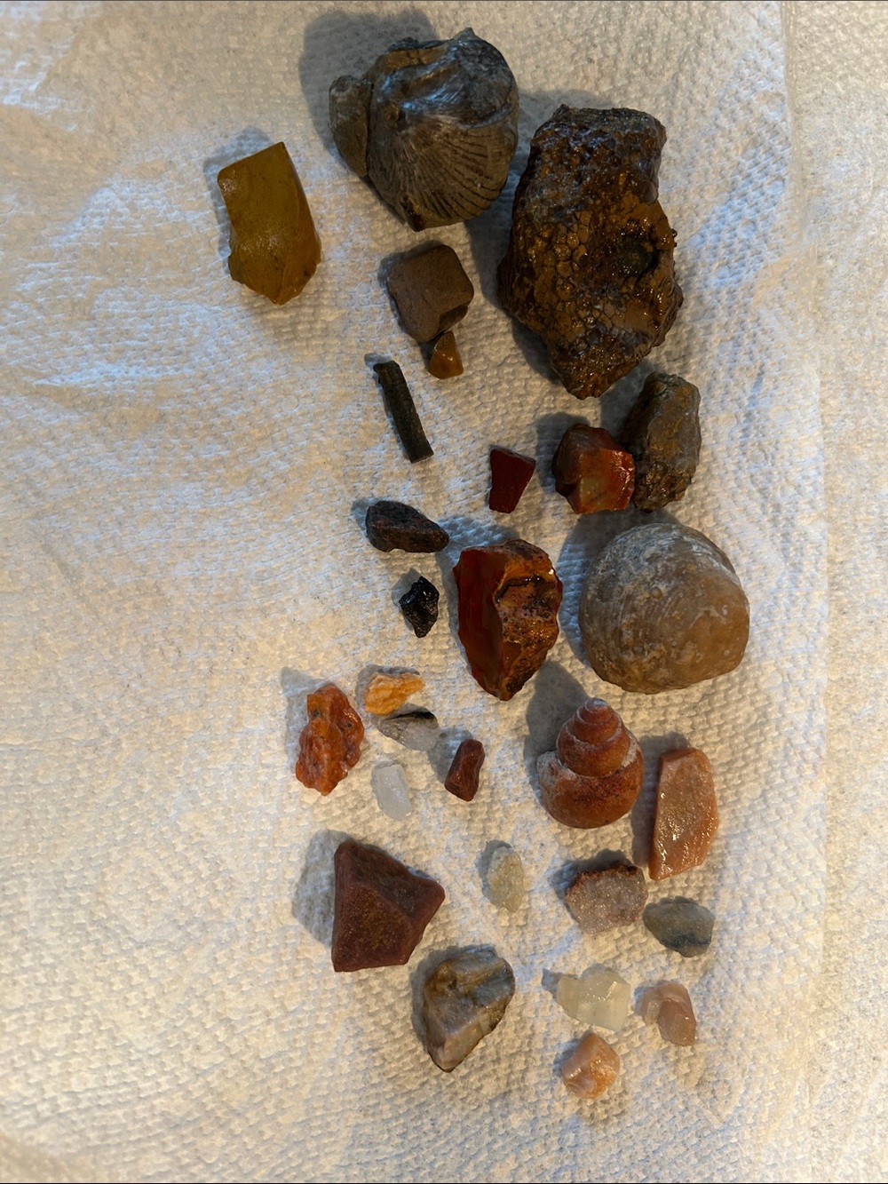 A LOT of Assorted fossils and gems